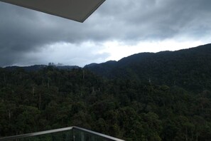 Balcony view - Golden Shine at Midhills Genting (Genting Highlands)