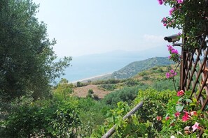 Land view from property - Terrazza degli Angeli (Ascea)