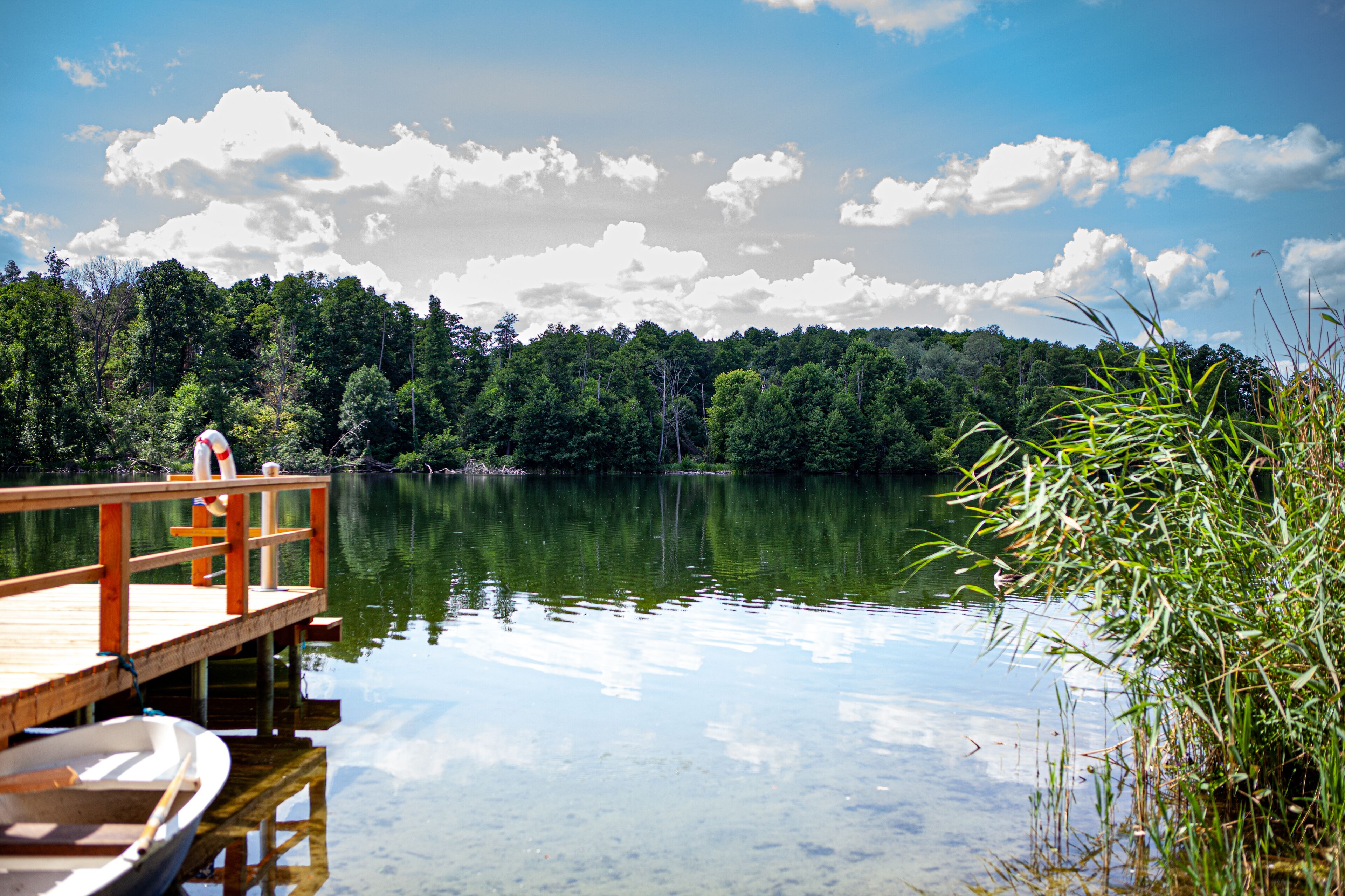 private beach, sun-loungers, rowing