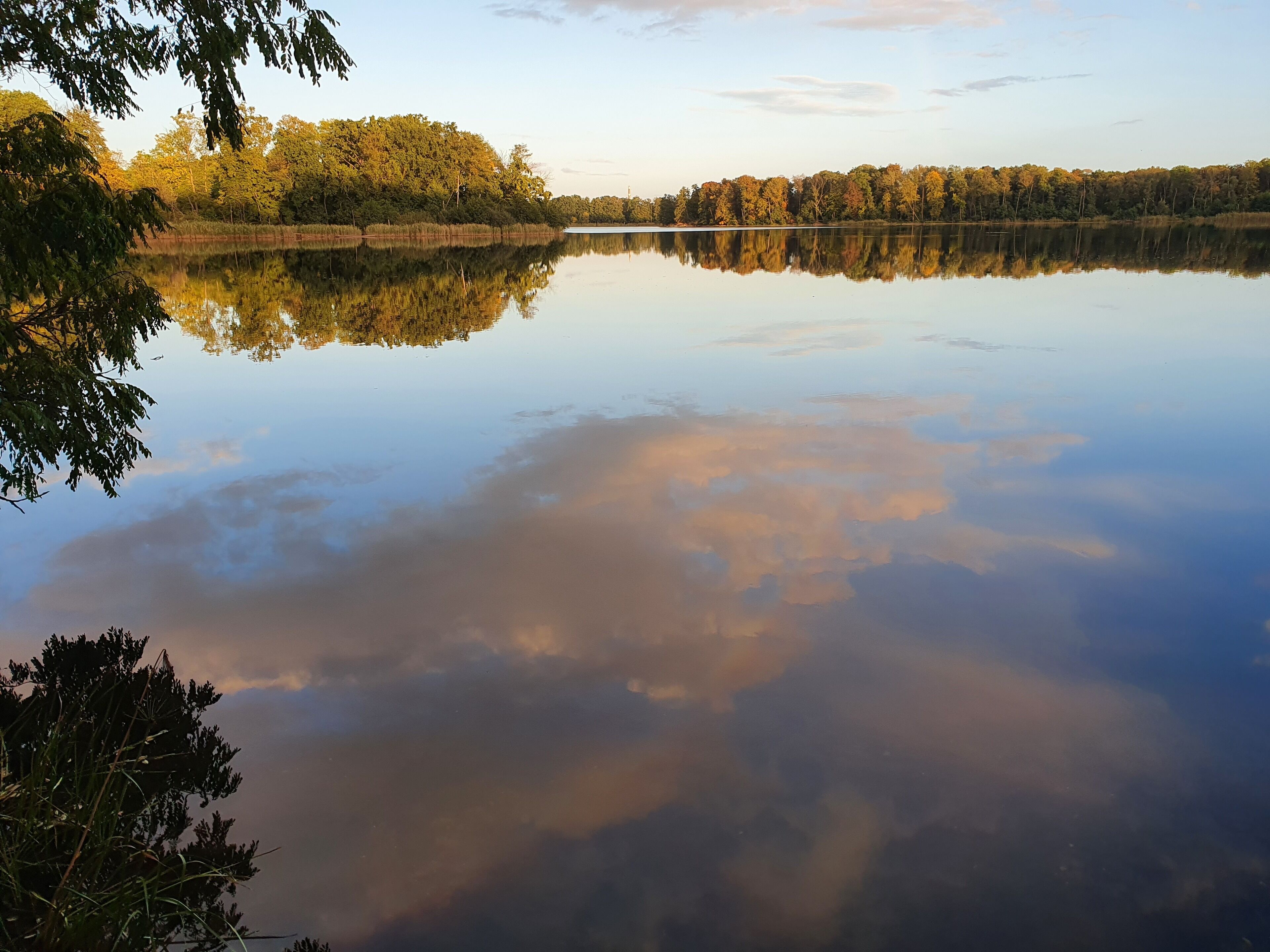 Un lago tranquilo con reflejos de árboles y cielo.