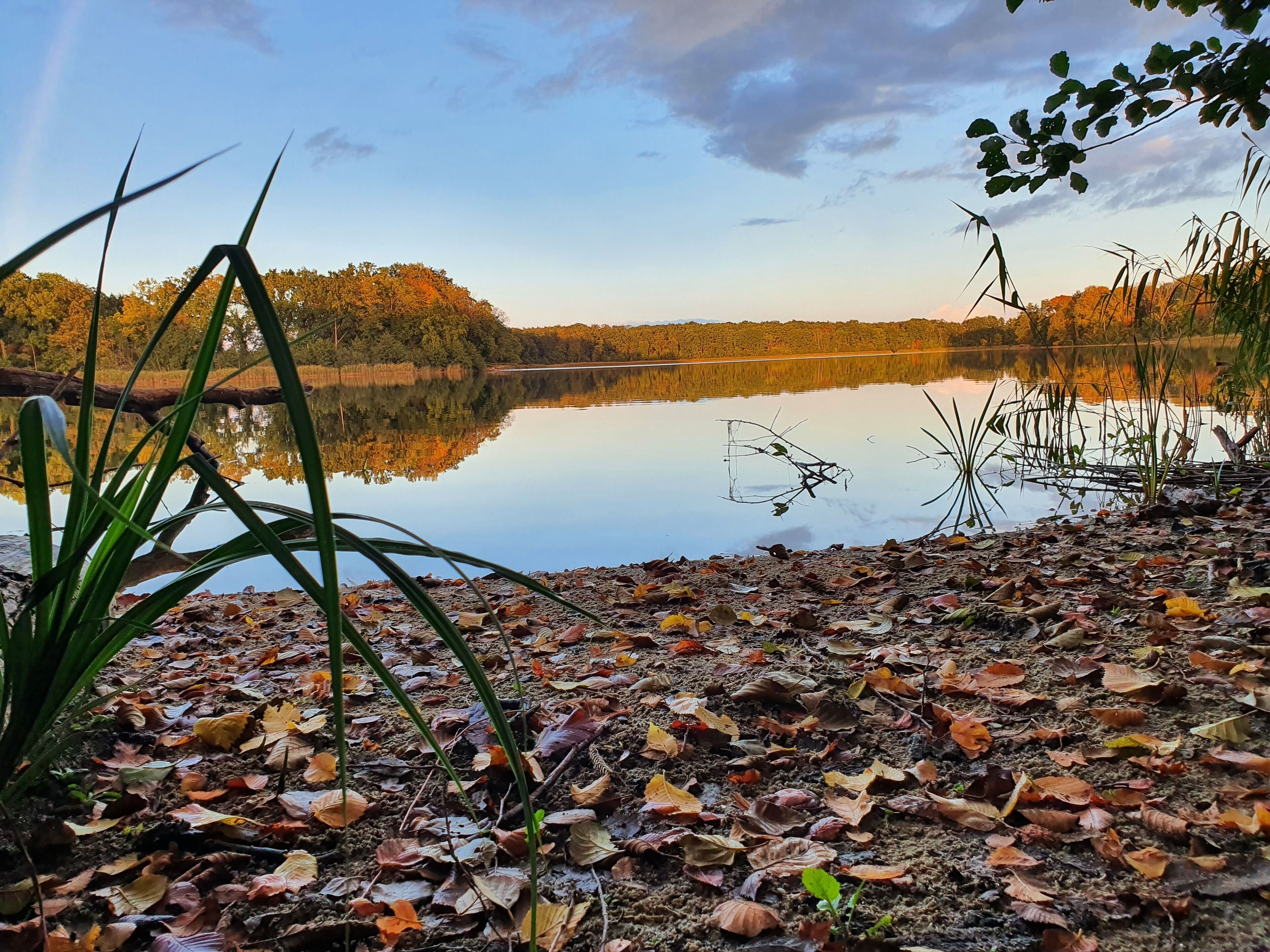 private beach, sun-loungers, rowing