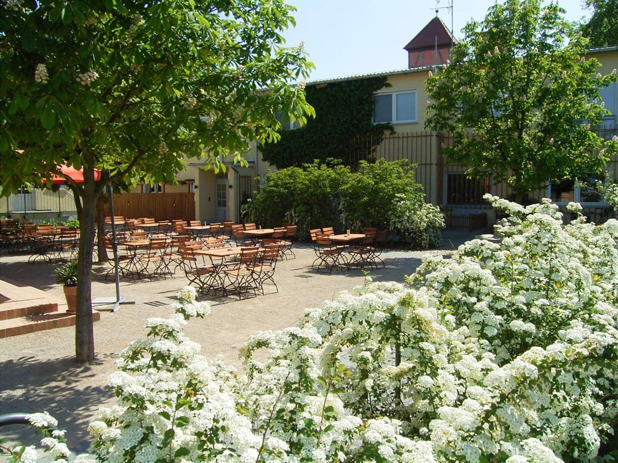 An outdoor seating area with tables and chairs, surrounded by greenery and white flowering plants.