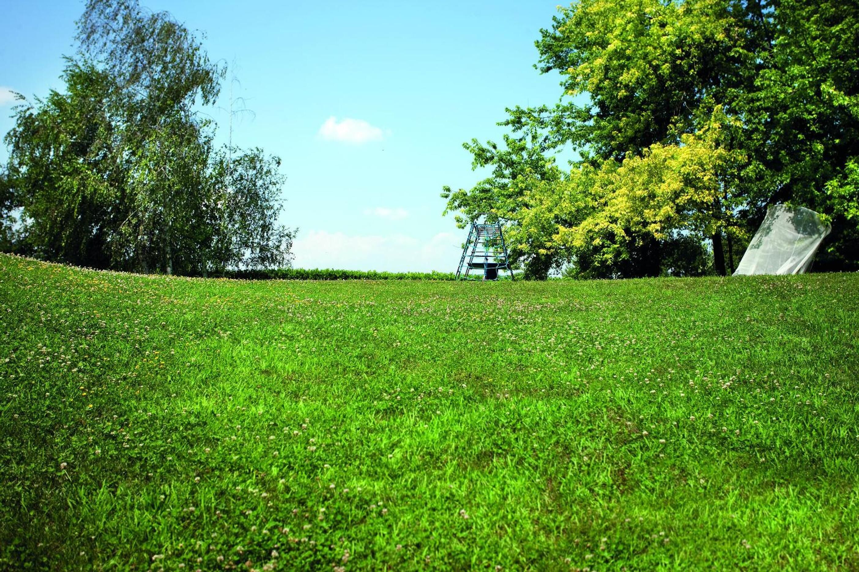 A grassy field with trees and a metal structure in the distance.