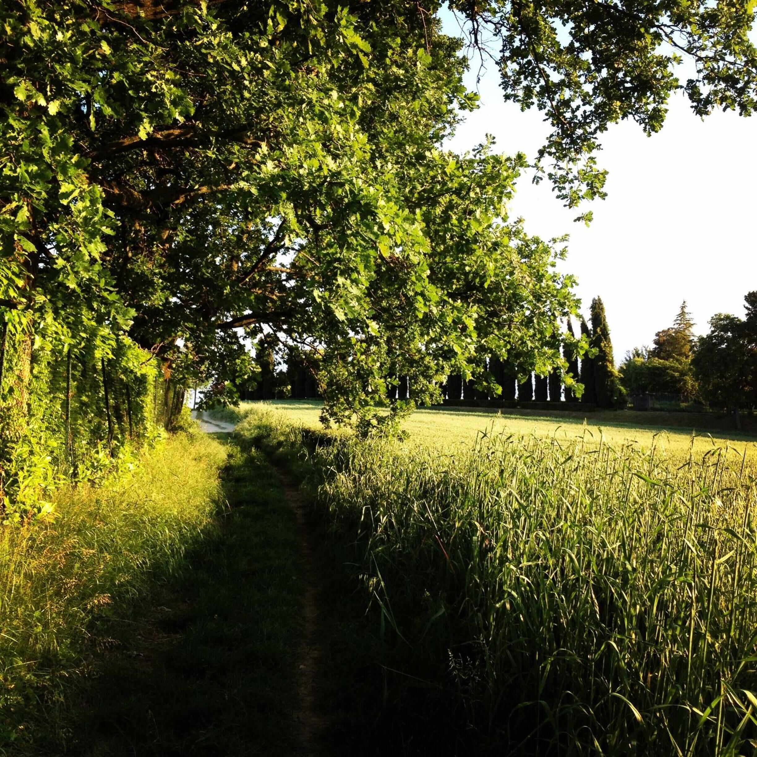 Foto - B&B Puntodivista