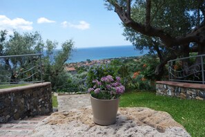 A potted plant with purple flowers on a stone ledge overlooking a coastal town. - Residenza dei Filosofi (Ascea)