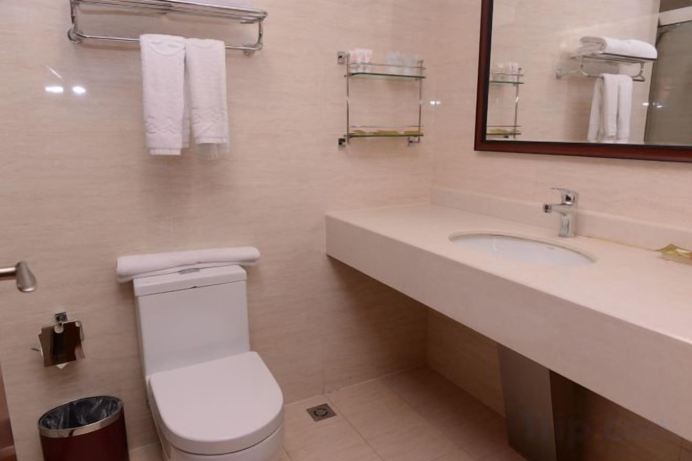 A bathroom with a toilet, sink, and mirror.