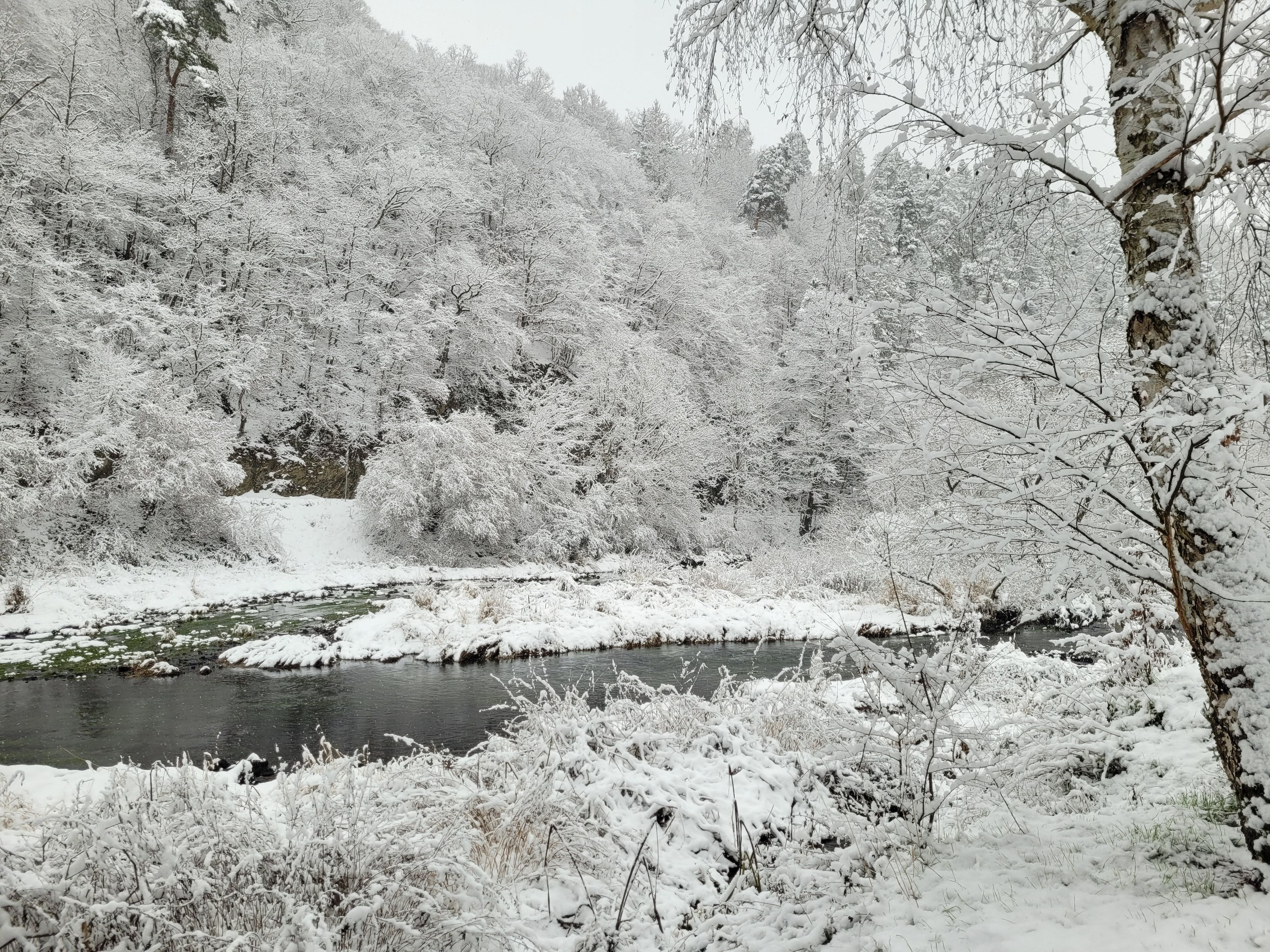 A snow-covered landscape with a river, trees, and a rocky outcrop.