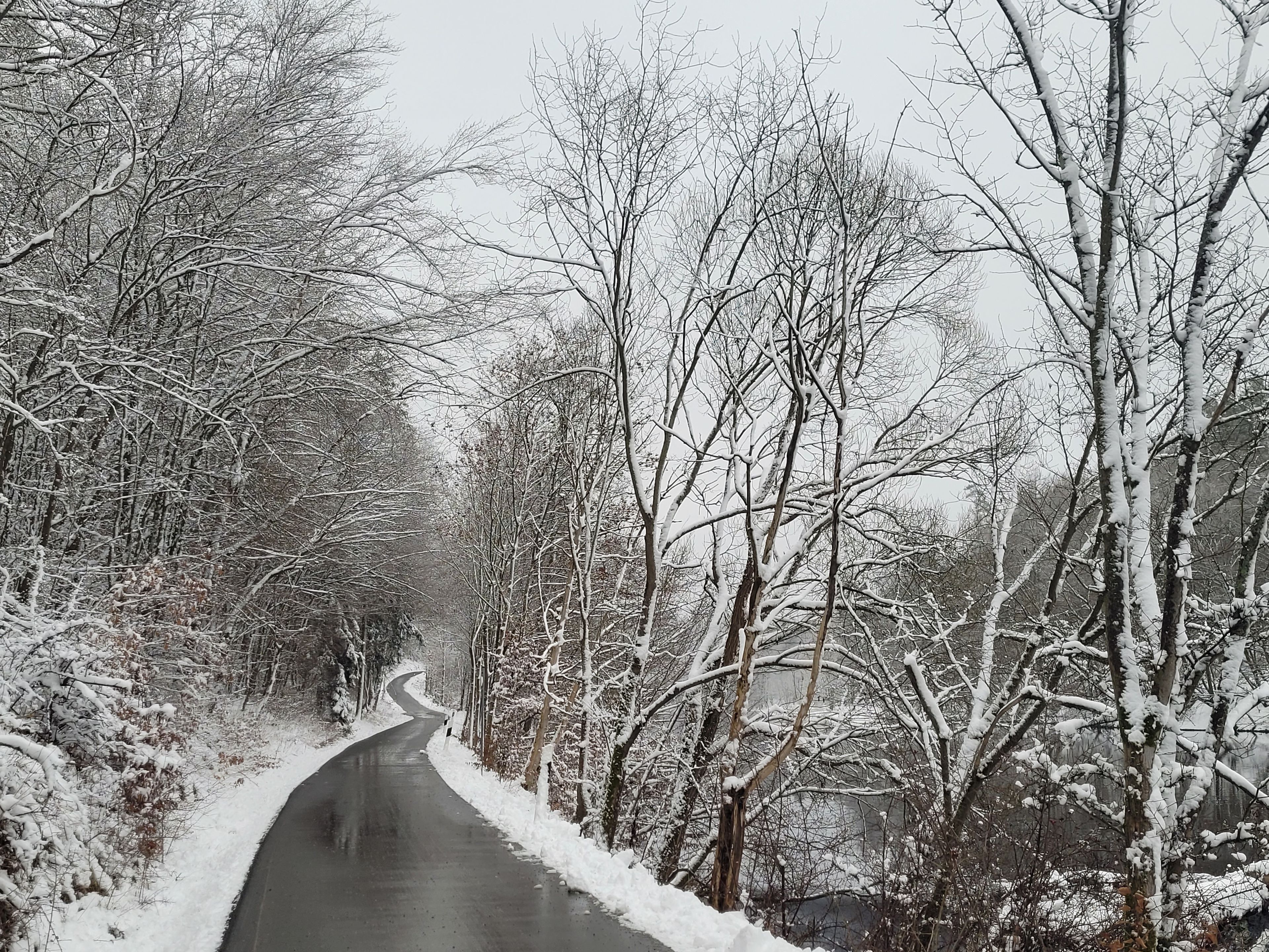 A snow-covered road flanked by leafless trees.