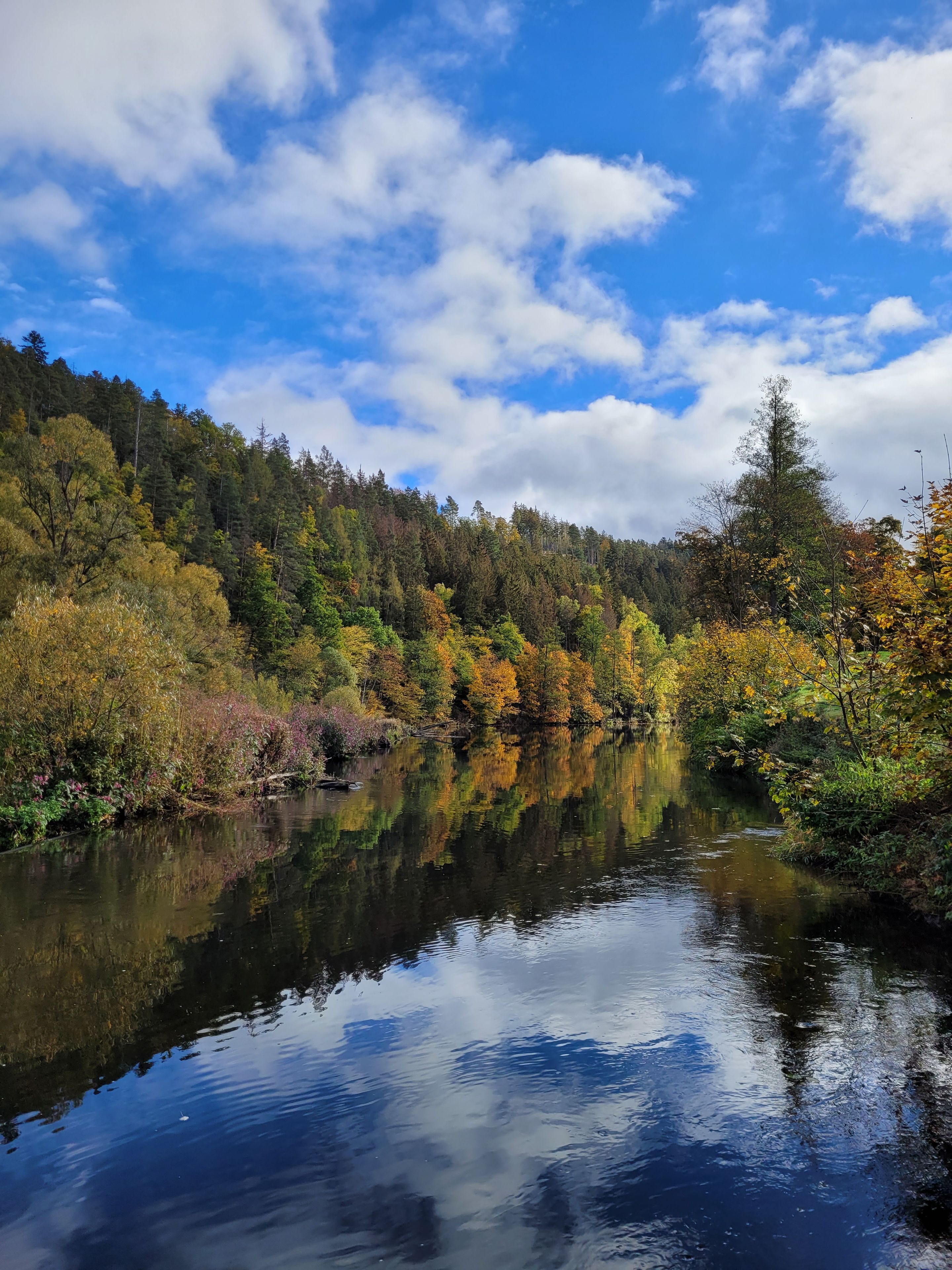 Une rivière paisible où se reflètent les arbres et un ciel dégagé.