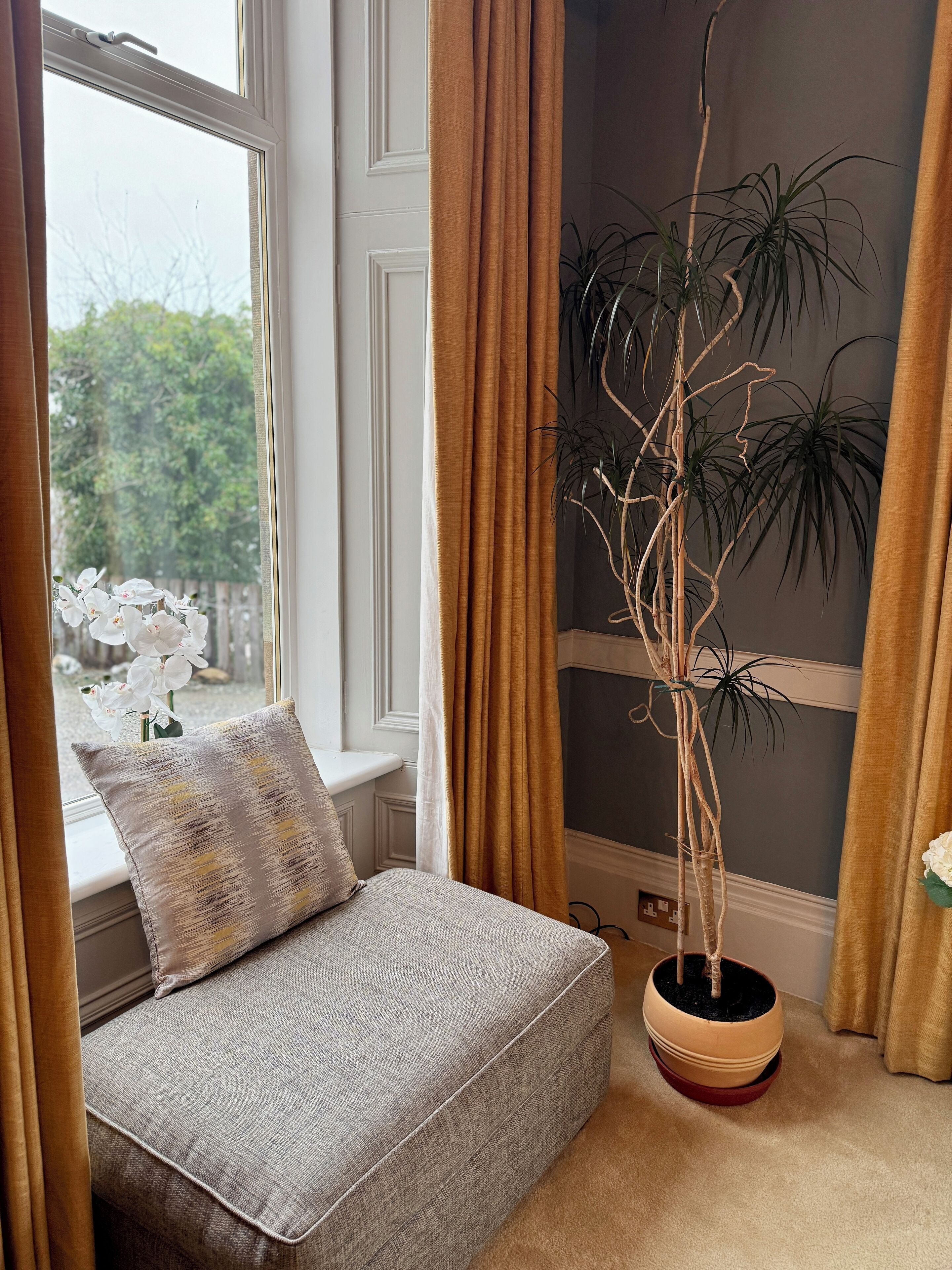 Una habitación acogedora con ventana, un sofá, una planta en maceta y una cortina.