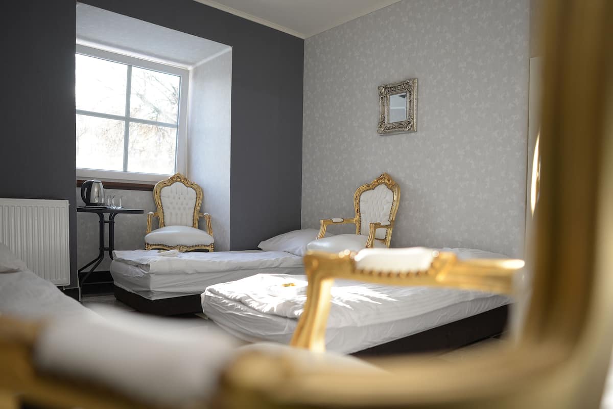 Een slaapkamer met twee bedden, een radiator, een raam en een spiegel aan de muur.