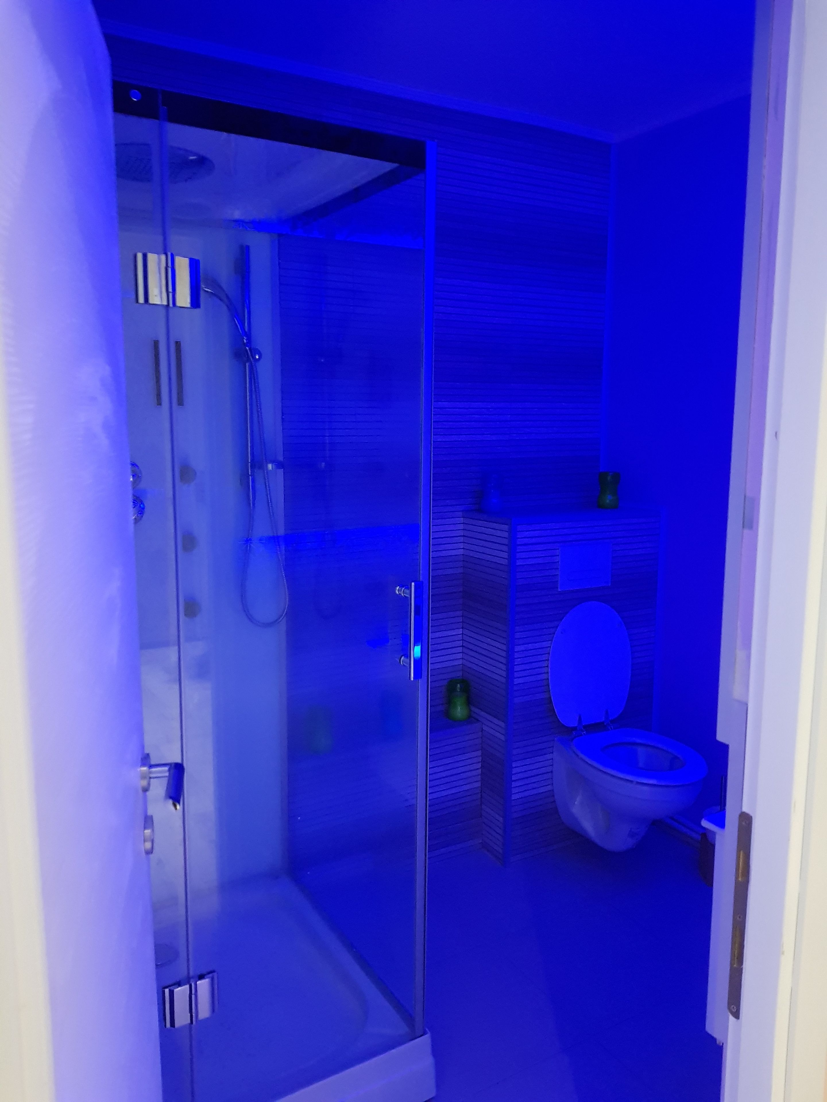 A modern bathroom with a glass shower enclosure, a toilet, and a sink.