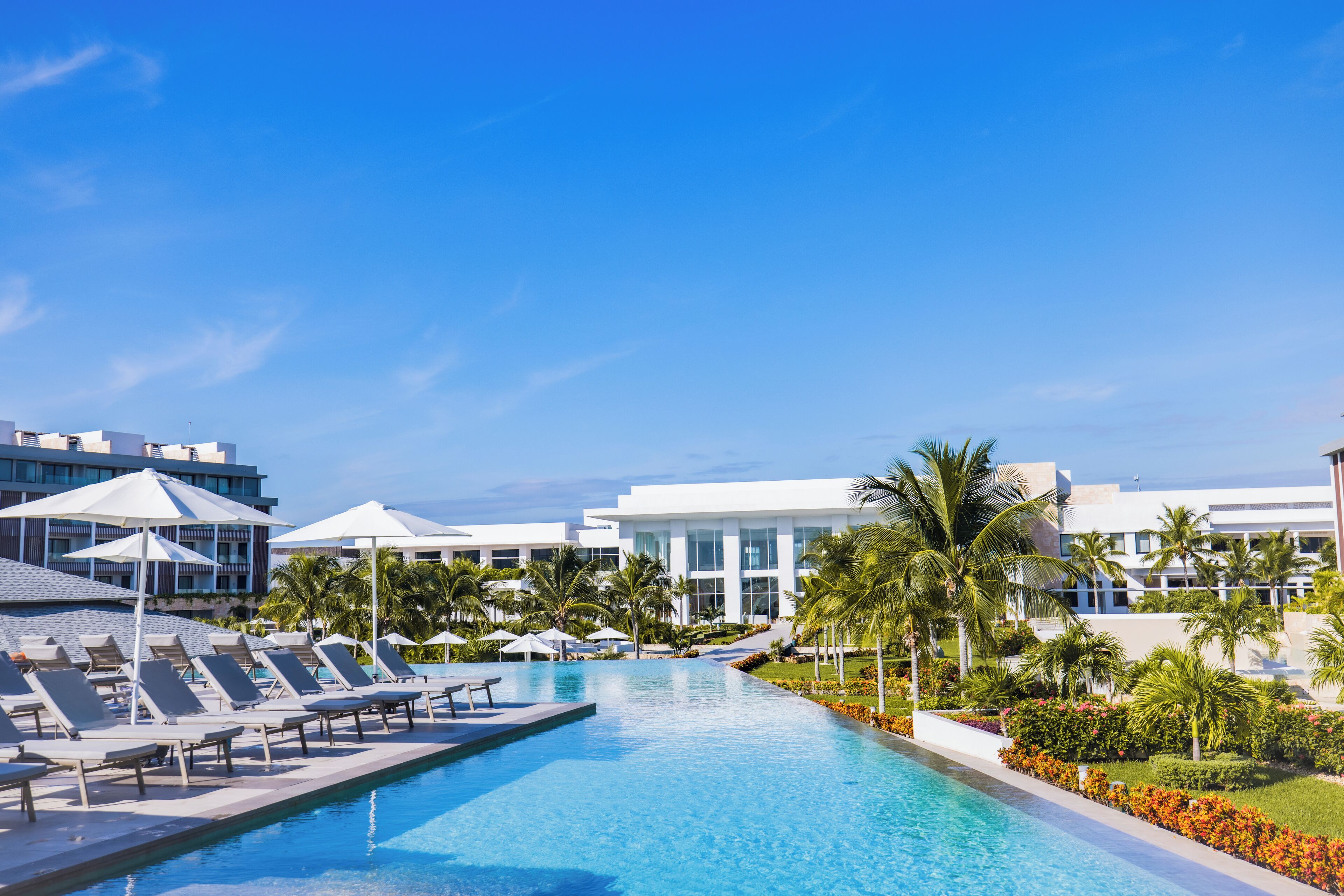 A pool area with lounge chairs and umbrellas, surrounded by palm trees and modern buildings.