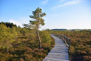 Área da propriedade