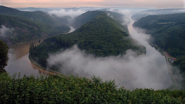 Un río serpentea por un valle con un bosque denso y bruma.