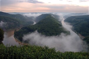 Un río serpentea por un valle con un bosque denso y bruma.