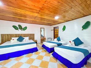 Iron/ironing board, free WiFi, bed sheets - Hotel Isla Palma (Isla Palma)