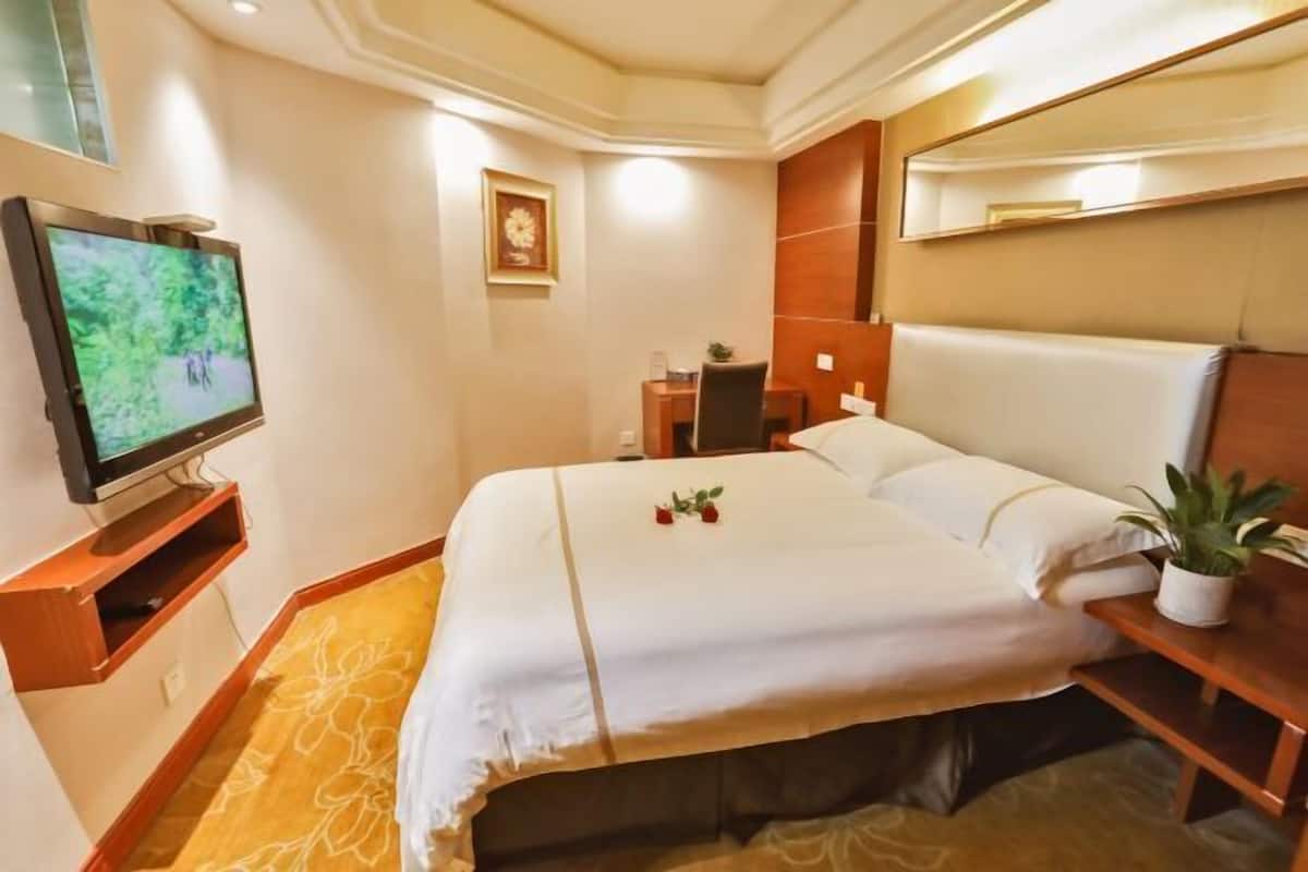 A hotel room with a bed, a TV, a desk, a chair, a bedside table with a plant, and a large mirror.