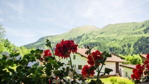 Unclassified image, 3 of 14, button - Kohlberghof (Bichlbach)