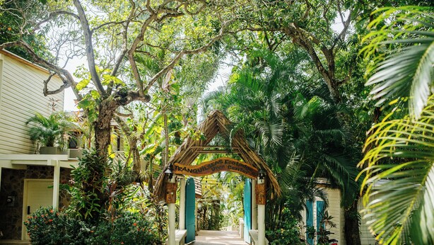 Una entrada a un jardín tropical con un arco de madera, un sendero de piedra y abundante vegetación.