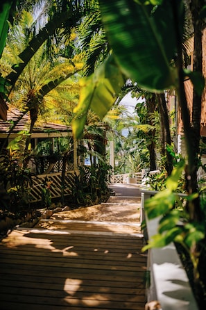 Garden - Tranquilseas Eco Lodge & Dive Center (Roatan)
