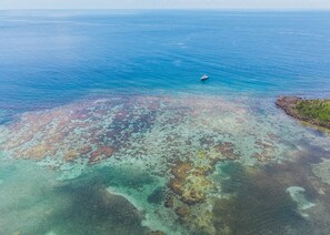 Exterior - Tranquilseas Eco Lodge & Dive Center (Roatan)