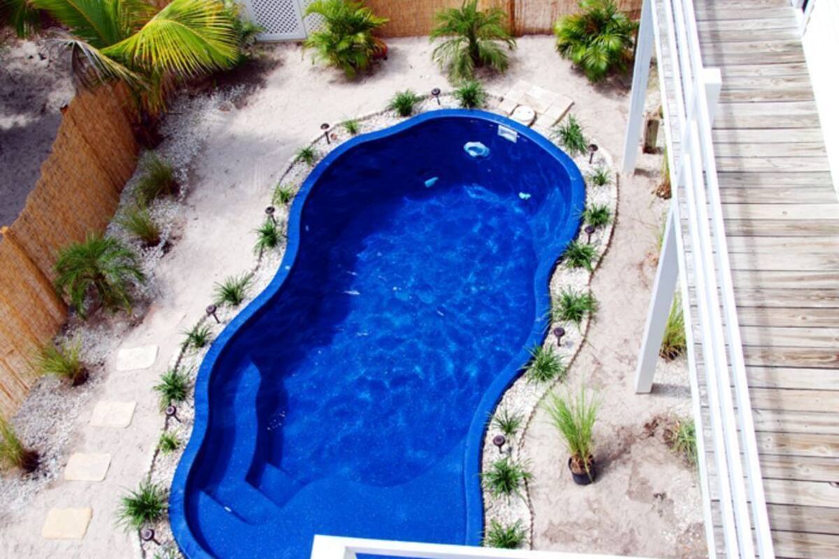 A swimming pool surrounded by palm trees and a wooden deck.