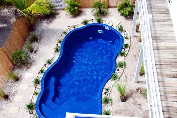 A swimming pool surrounded by palm trees and a wooden deck.