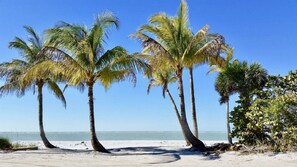 A beach with three palm trees and a clear view of the ocean. - The Little Oasis Beach House (Captiva)