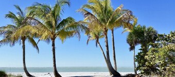 The Little Oasis Beach House