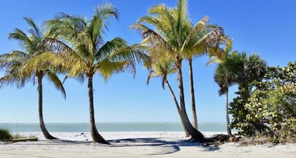 The Little Oasis Beach House