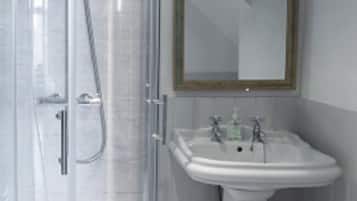 Hummingbird | Bathroom shower