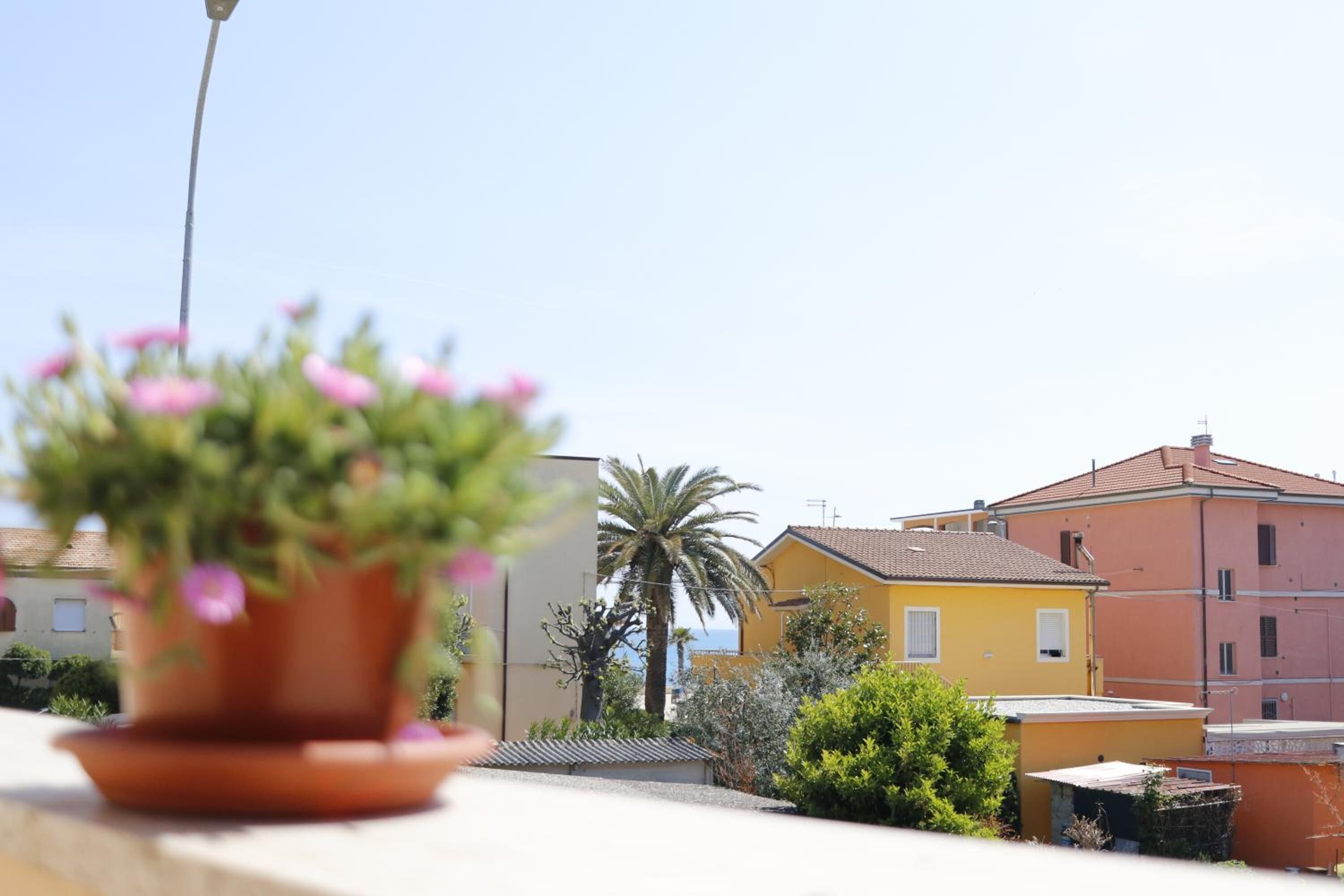 Una pianta in vaso con fiori rosa su un balcone.