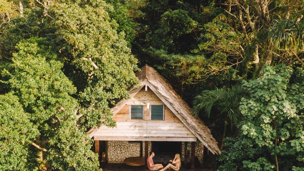 A wooden house with a thatched roof, surrounded by dense greenery. - Treetops Lodge (Port Vila)
