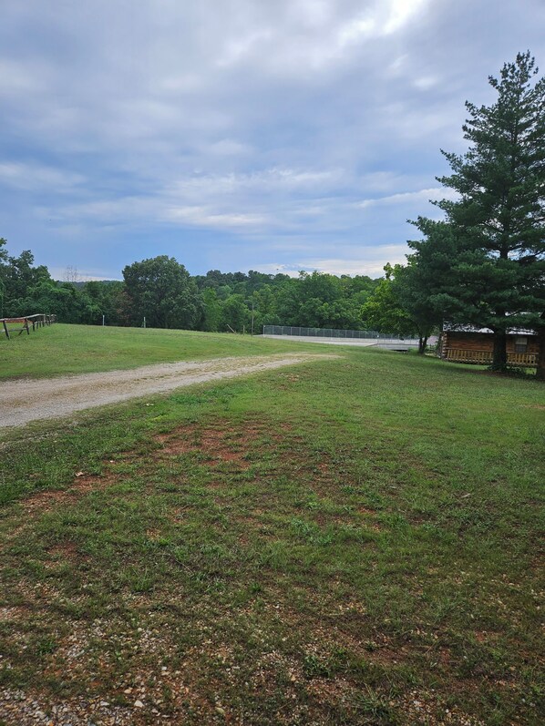 A grassy field with a dirt path, a wooden fence, and a large tree.
