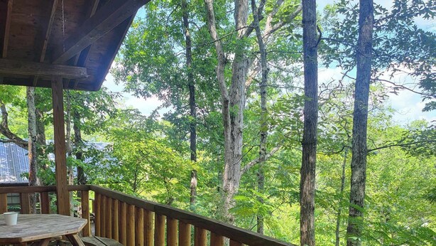Une terrasse en bois avec une table et des bancs, donnant sur une zone boisée.