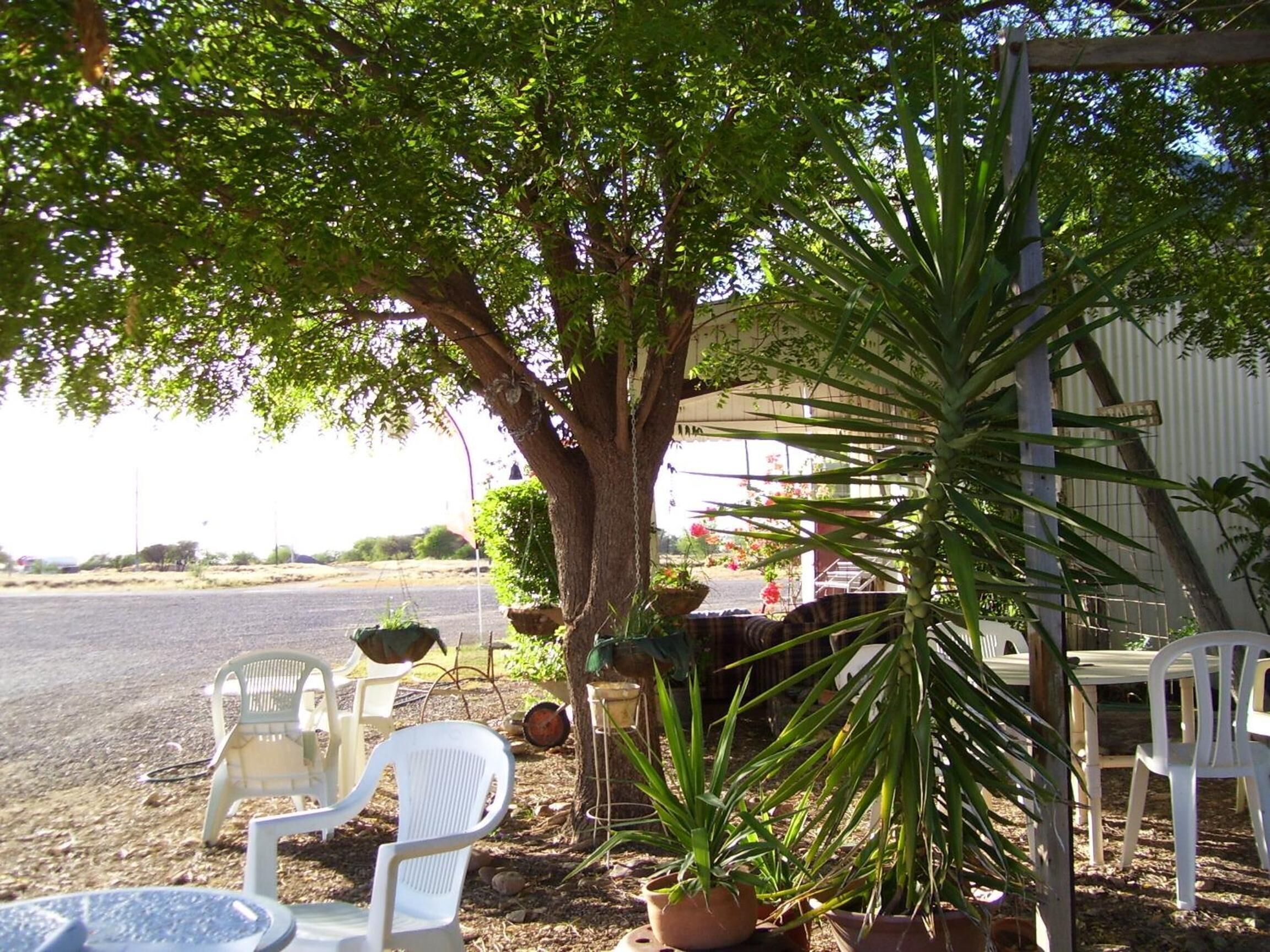 A shaded outdoor seating area with white plastic chairs and a table, surrounded by potted plants and a large tree.