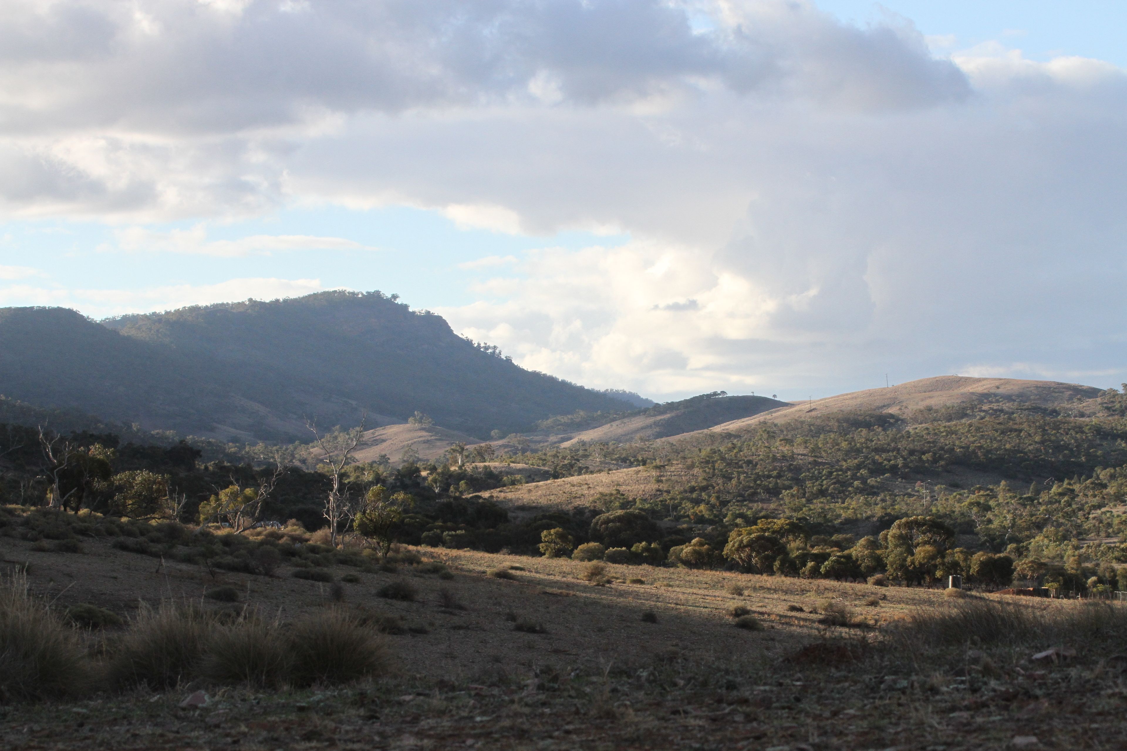 Pichi Richi Park — image 13