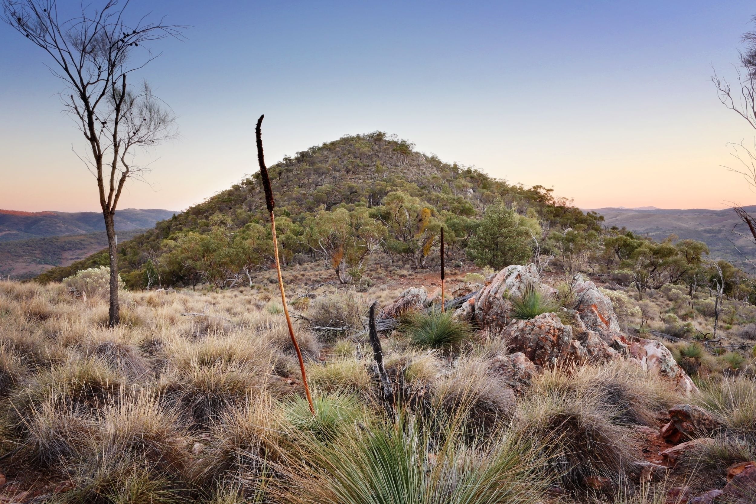 Pichi Richi Park — image 8