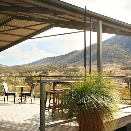 Terrace/patio. Pichi Richi Park