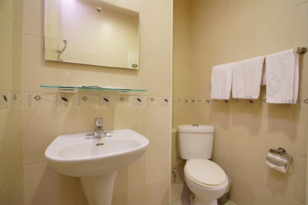 Un baño con lavabo, inodoro y espejo.
