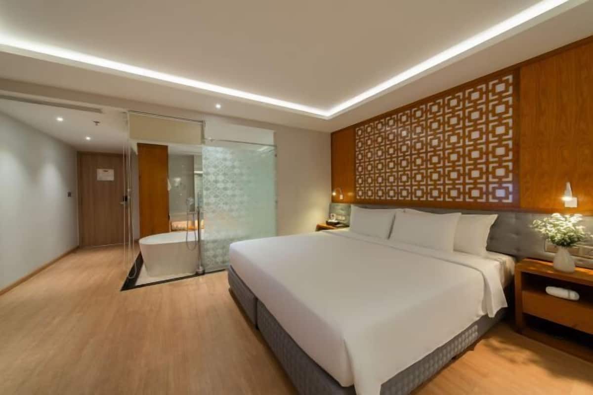 Minibar, caja fuerte, escritorio y cortinas opacas