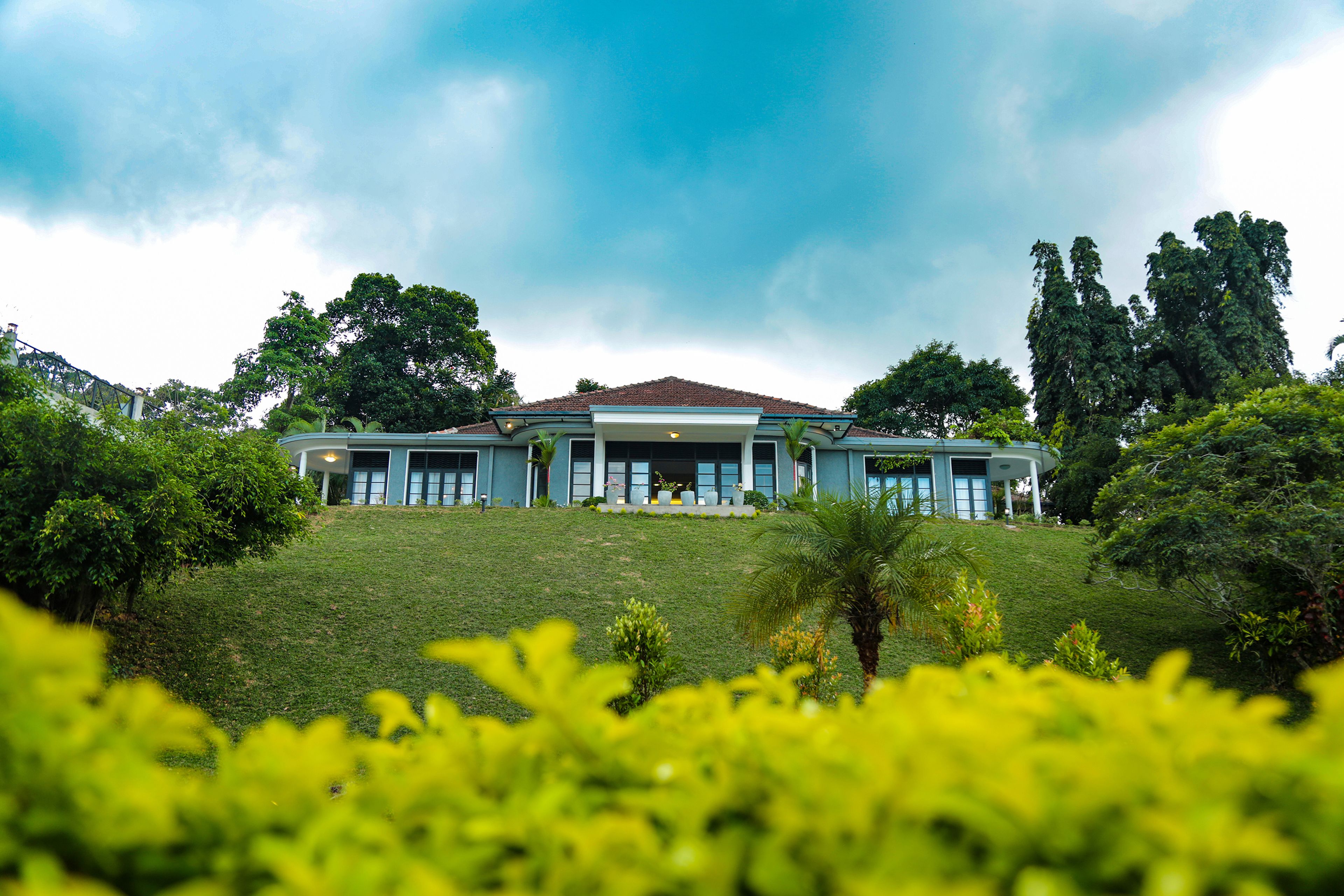 A large, modern house with a flat roof, surrounded by lush greenery and trees.