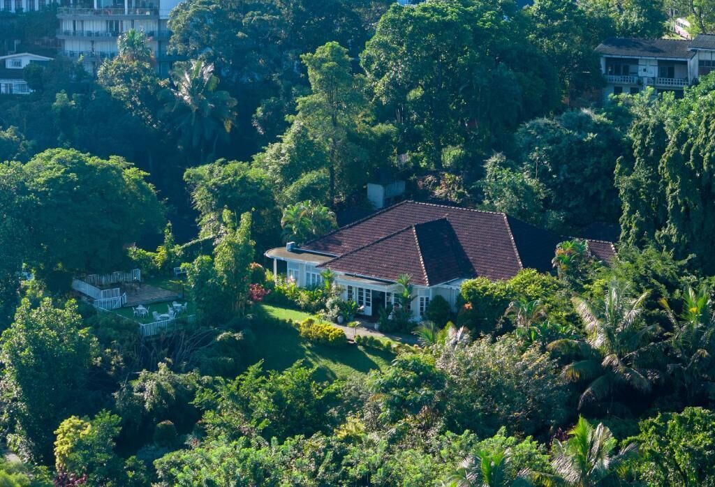 A house surrounded by dense greenery, with a red-tiled roof and white walls.