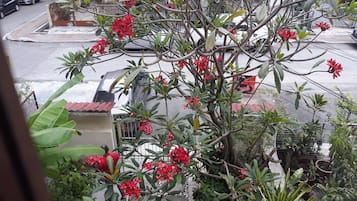 Single Room | Garden view