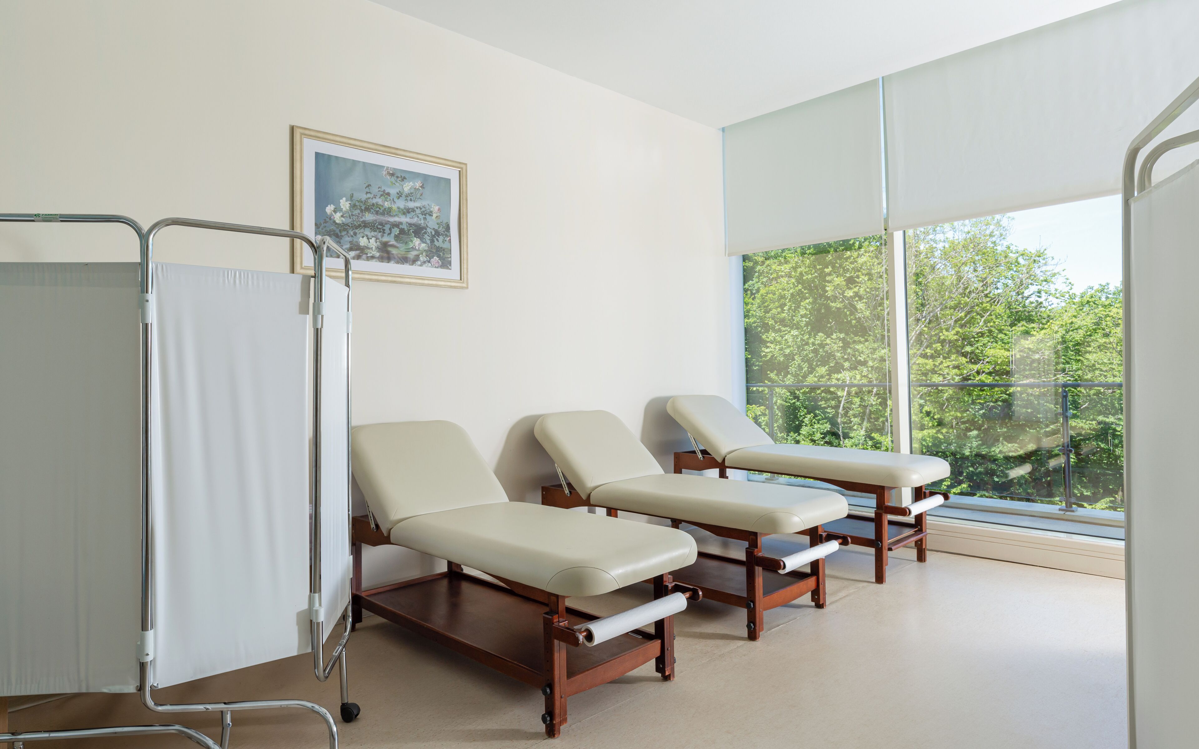 couples treatment room(s)