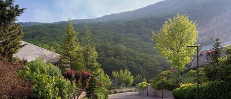Carretera bordeada por abundante vegetación y montañas al fondo.