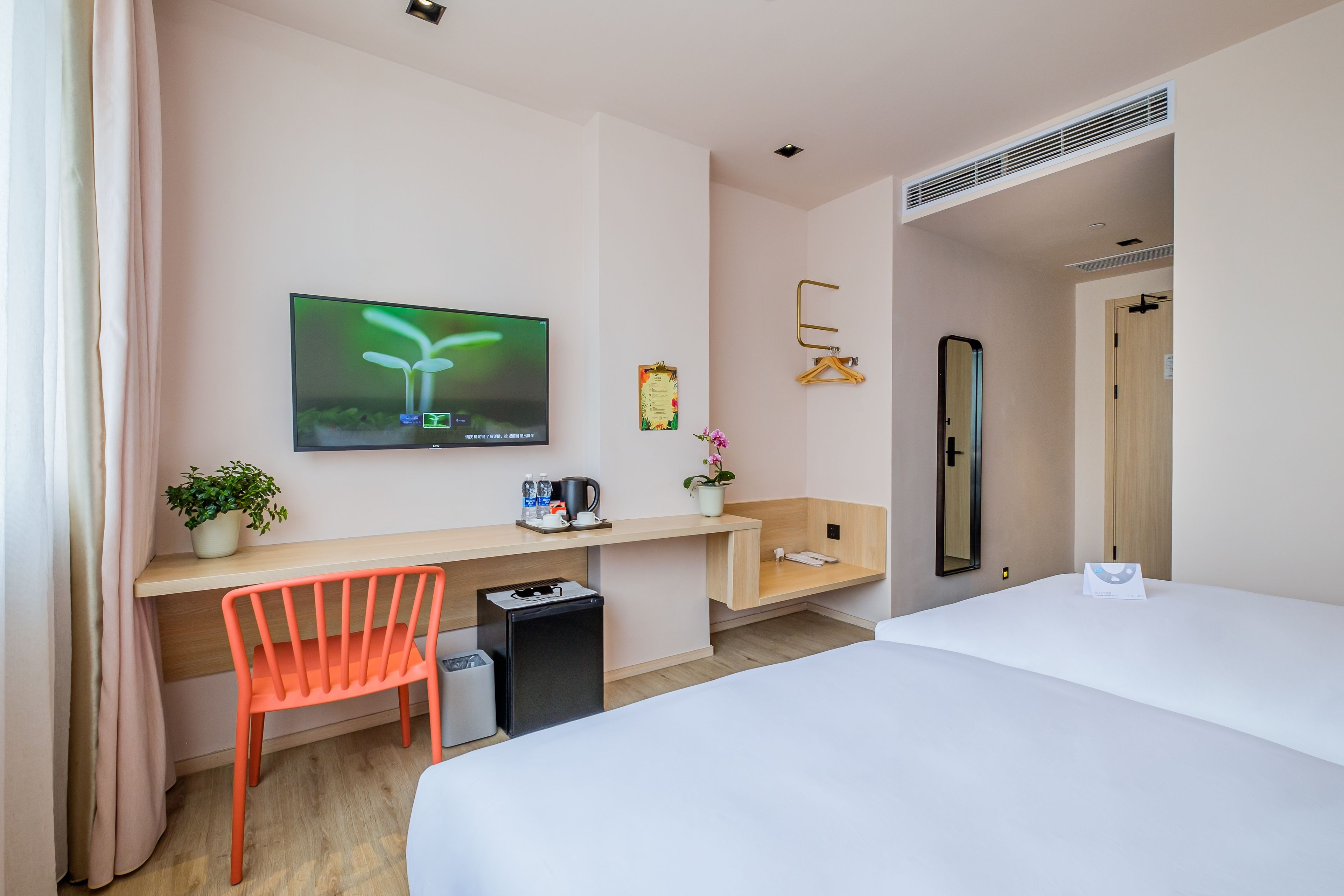A hotel room with a bed, a desk with a chair, a TV, a small trash bin, a potted plant, and a mirror.