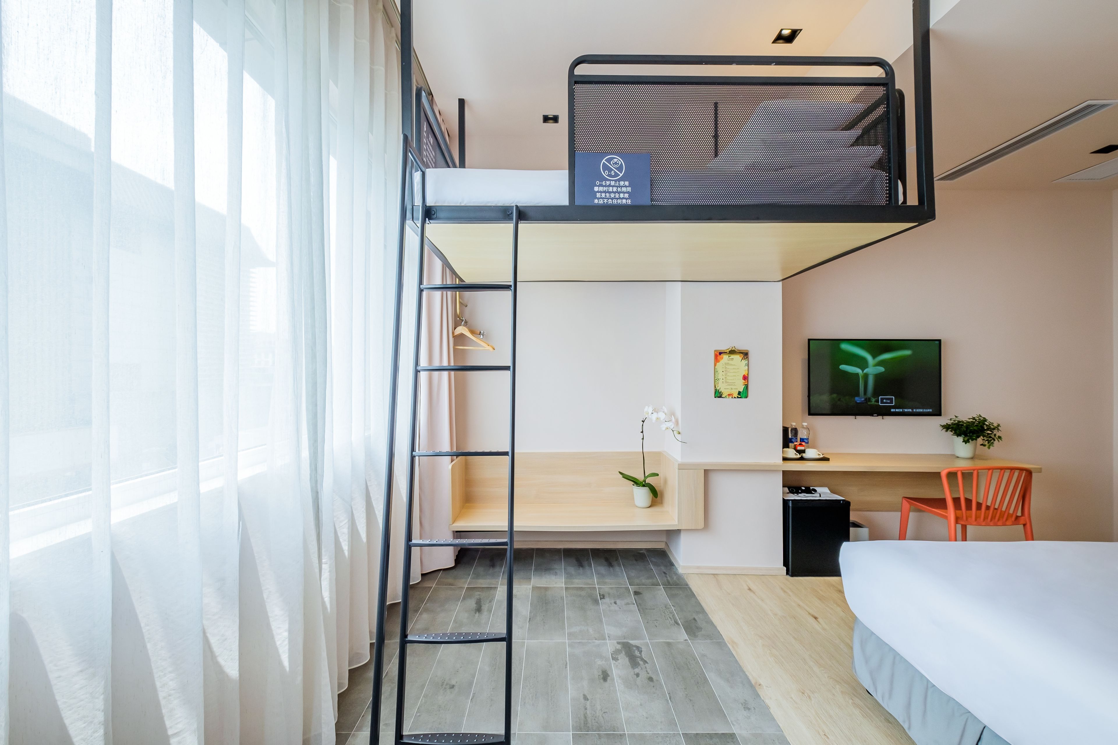 Une chambre d’hôtel compacte comprenant un lit superposé, un bureau avec une chaise, une télévision et une petite plante.