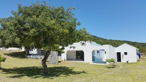 A modern white building with a large tree in front, a grassy area, and a hilly background. - Serenity Nhabanga (Praia do Bilene)